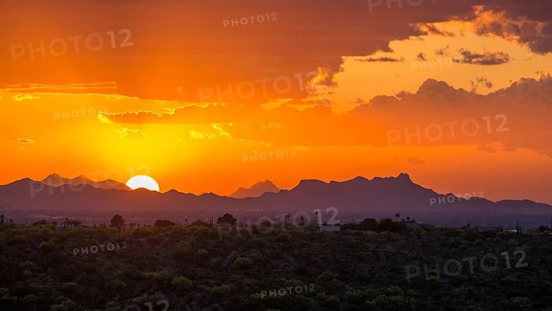 Sonora Desert at sunset