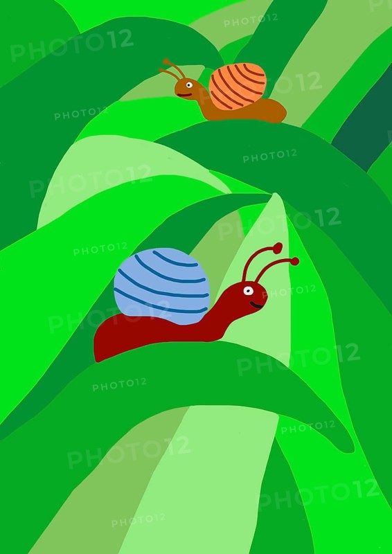 Naive illustration