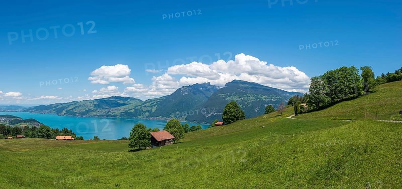 Landscape with Lake Thun