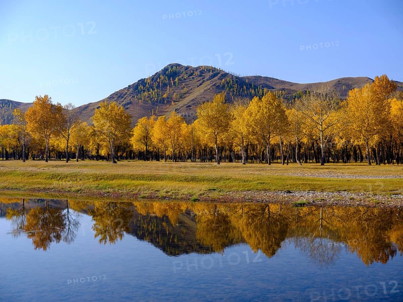 Autumn-coloured trees are reflected in the Tuul River at the entrance to Gorchi Terelj National Park