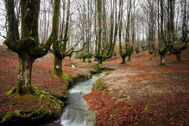 Gorbea Natural Park