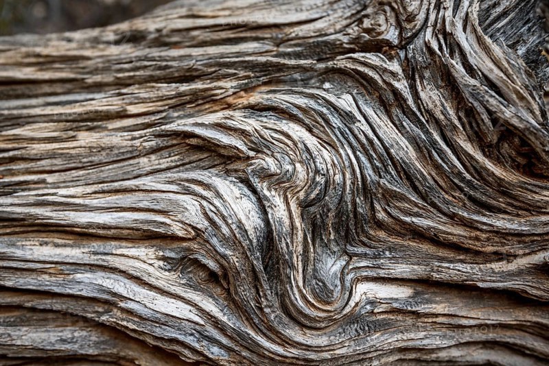 Deadwood