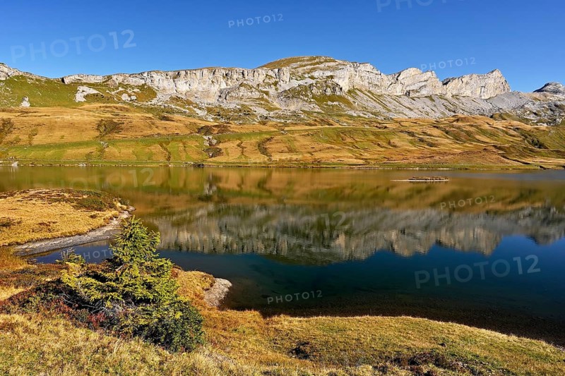 Mountain peak Tannenstock