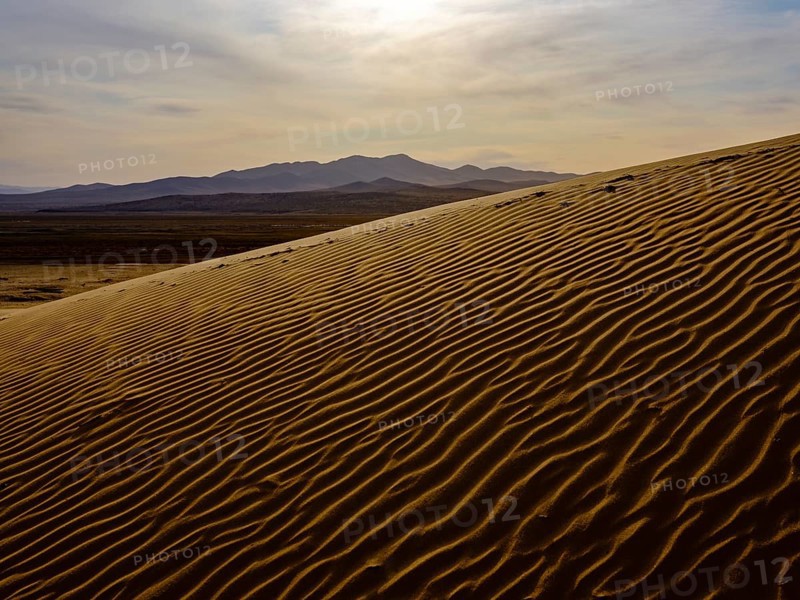 Sand dunes of Elsen Tasarkhai