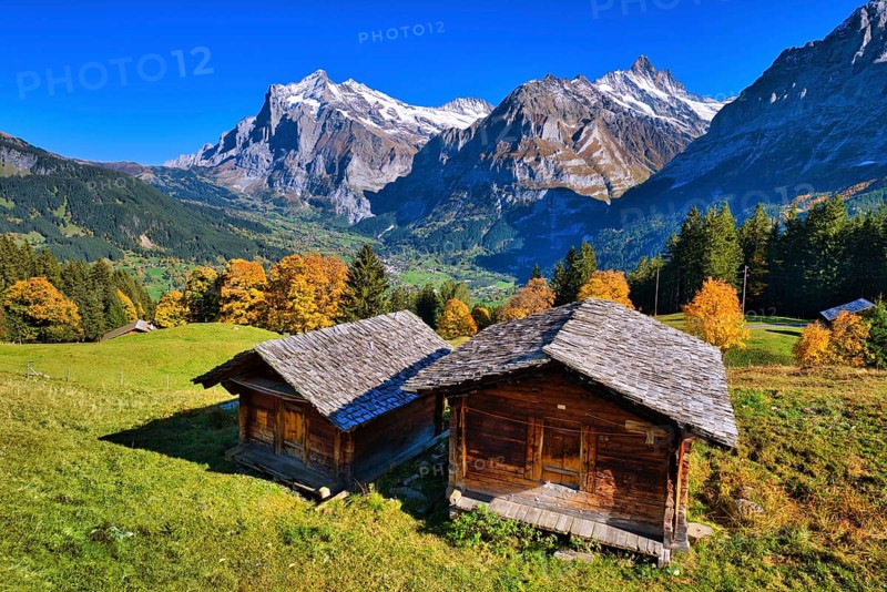 Wooden huts above Grindelwald