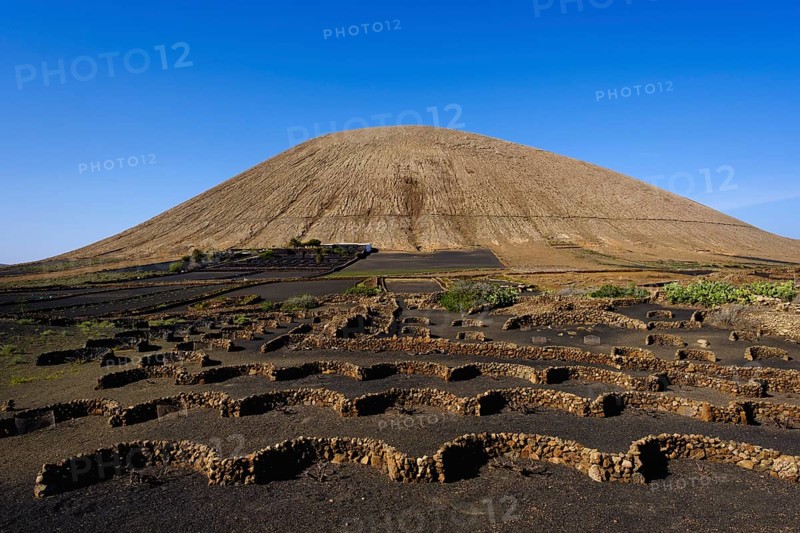 Vineyards in front of volcano Montana Tinache