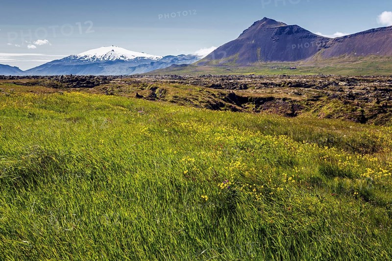 Volcanic landscape