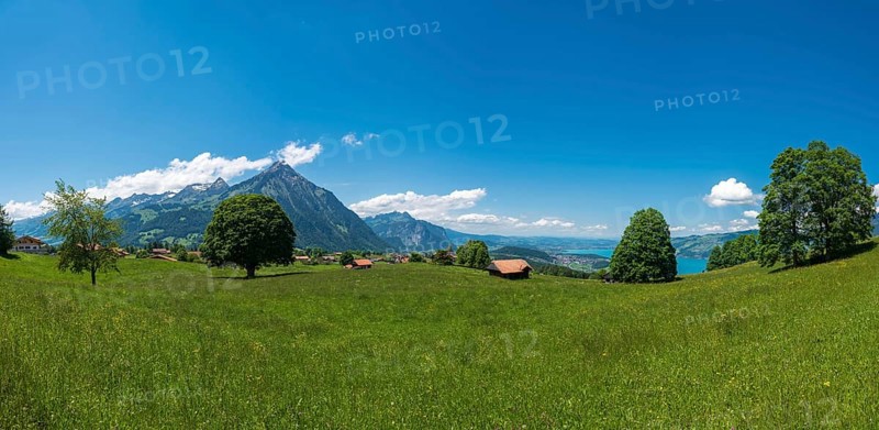 Panorama with view to the Niesen mountain and Lake Thun