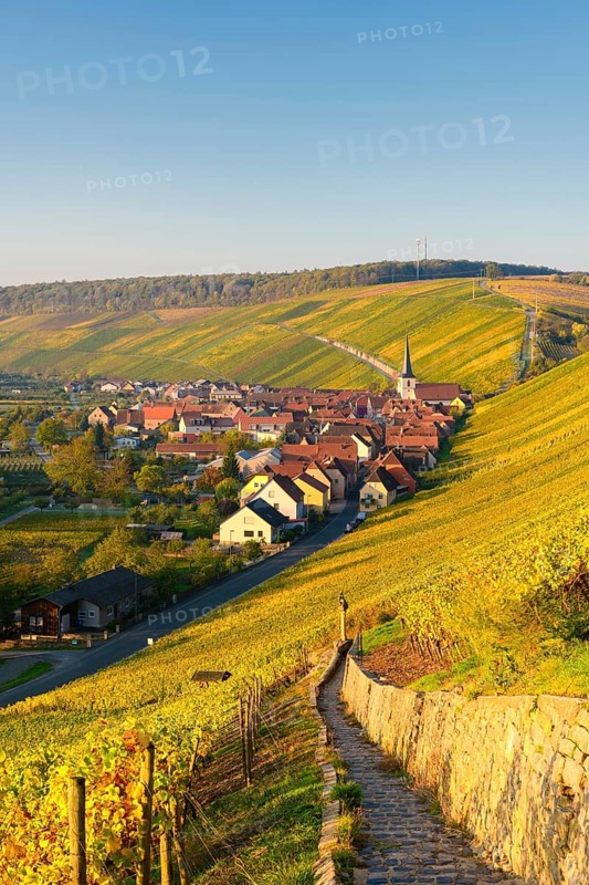 Escherndorf am Main near Volkach