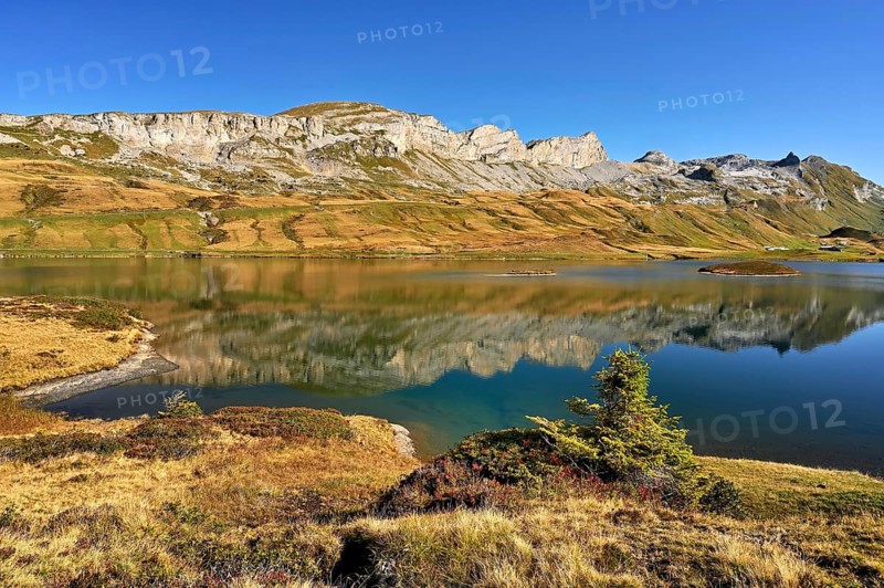 Mountain peak Tannenstock