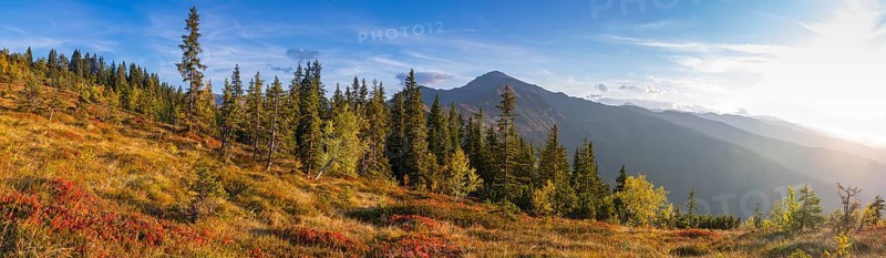 Autumnal mountain landscape with dwarf shrubs
