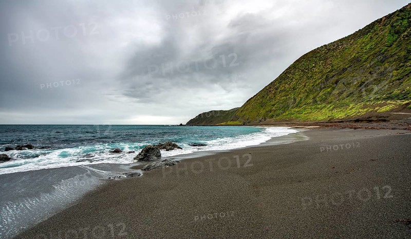 Coast with black sand beach