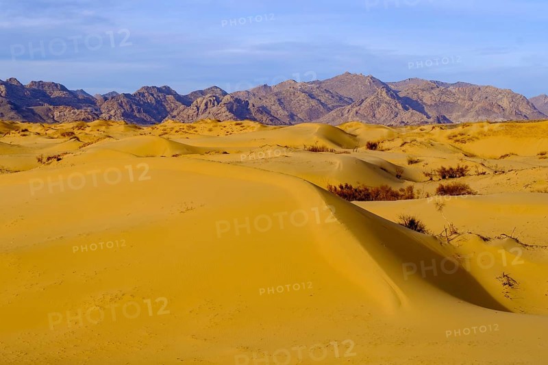 Sand dunes of Elsen Tasarkhai