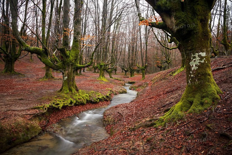 Gorbea Natural Park