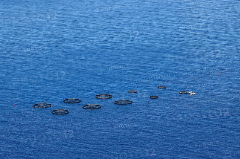 Fishing boat controls free-water nets in the sea