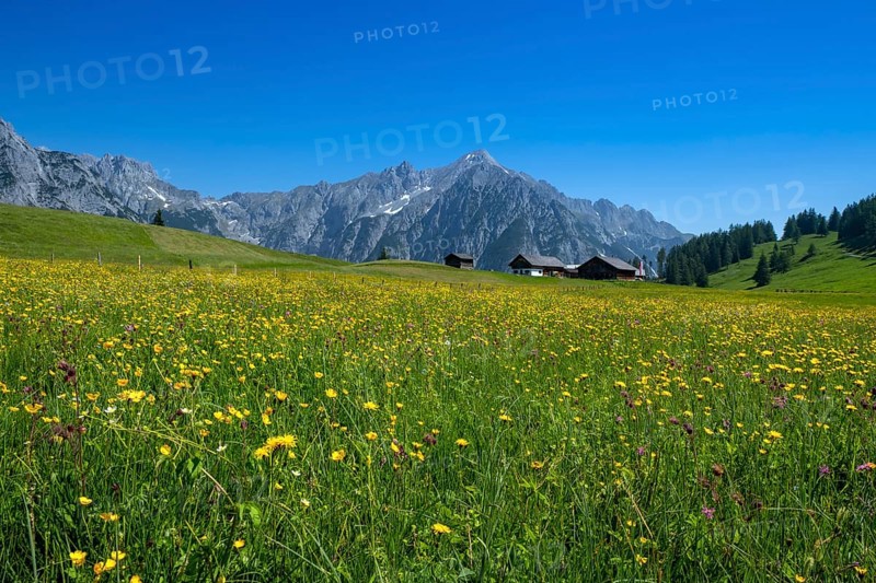 Walder-Alm