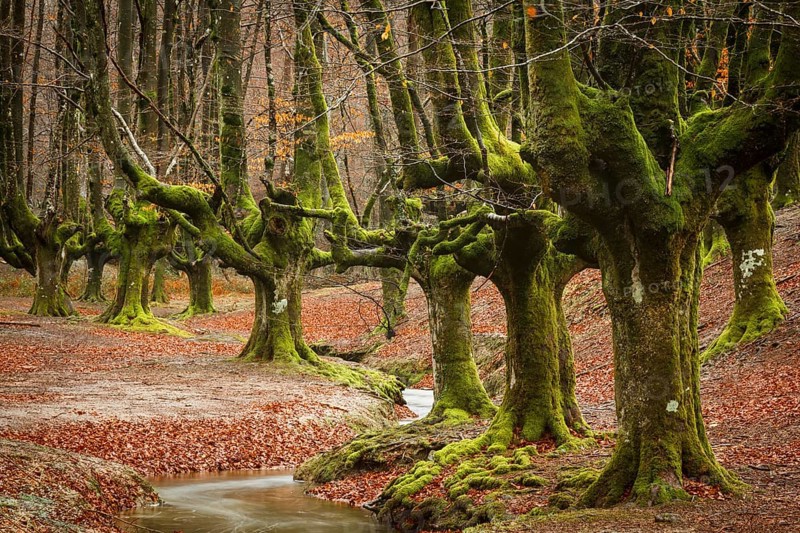 Gorbea Natural Park