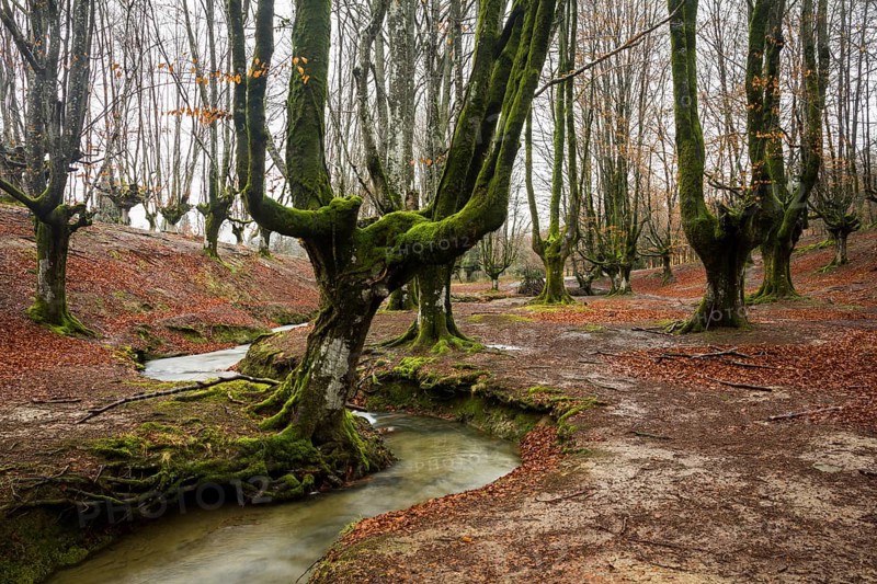 Gorbea Natural Park