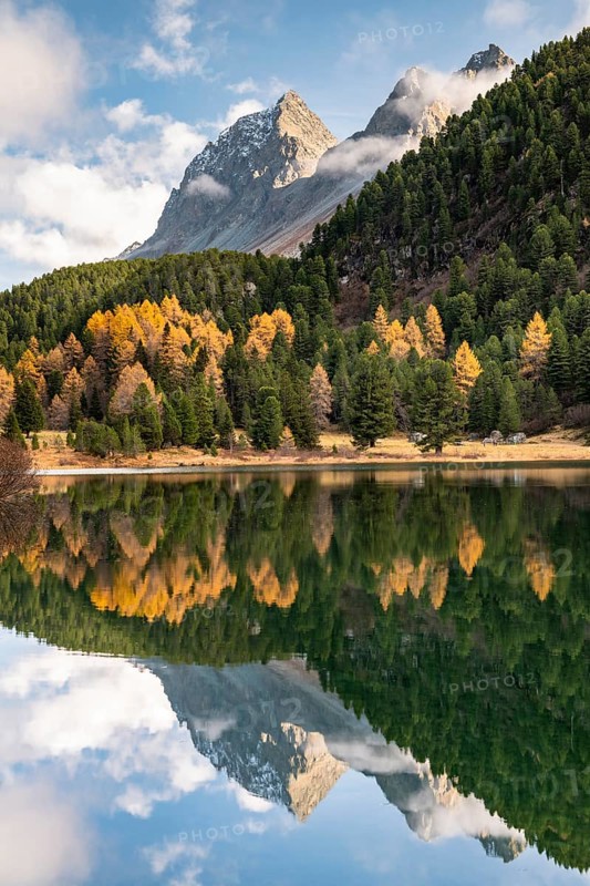 Mountains with autumn forest reflected in Lake Palpuogna