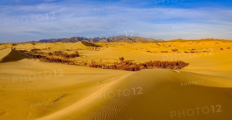 Sand dunes of Elsen Tasarkhai