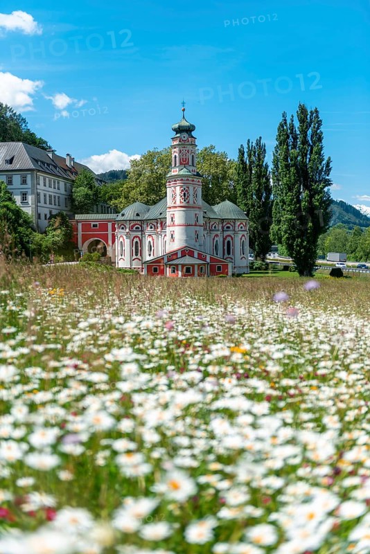 Flower meadow in front of the monastery St. Karl