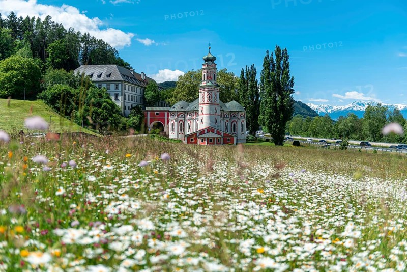 Flower meadow in front of the monastery St. Karl