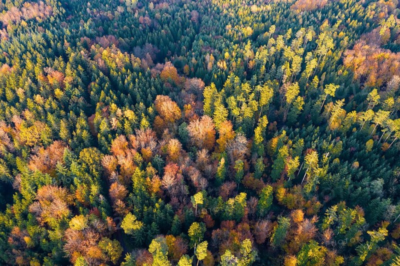Drone shot