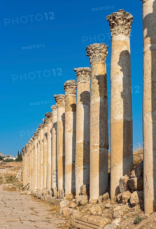 South Decumanus colonnade