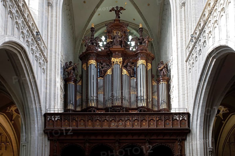 Schyven organ