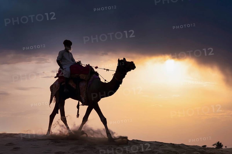 Elderly man riding on a camel in the Thar desert at sunset
