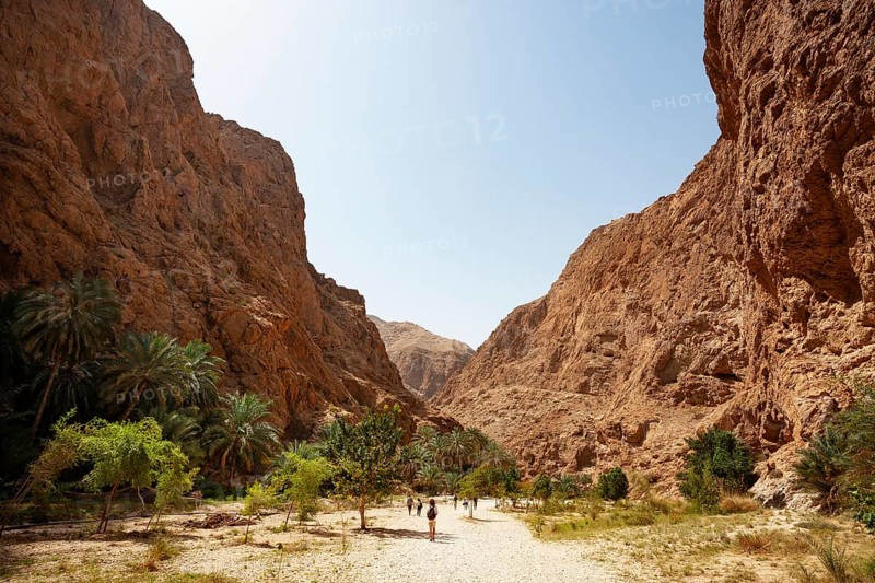 Wadi Shab