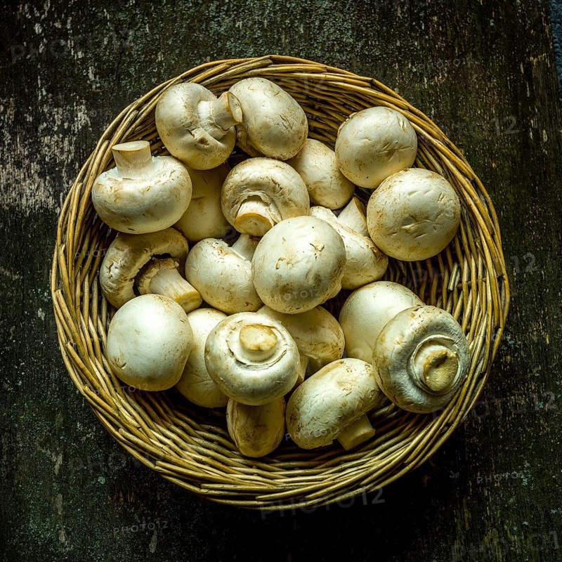 Mushrooms
