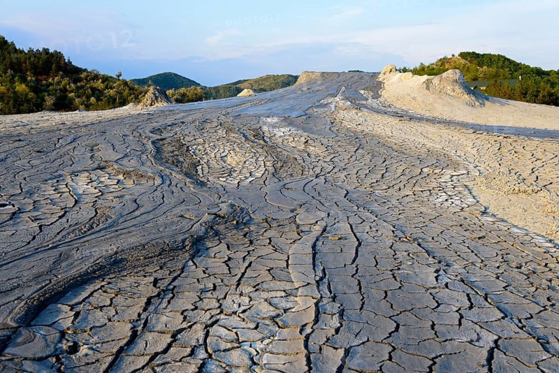 Dried sludge