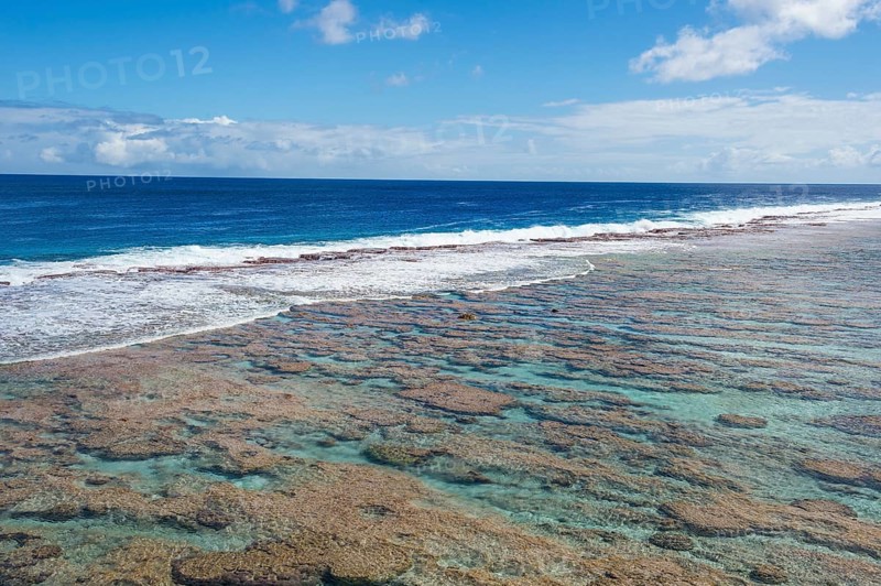 Low tide pools