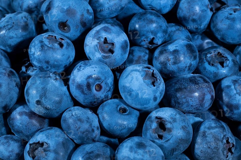 Northern highbush blueberries