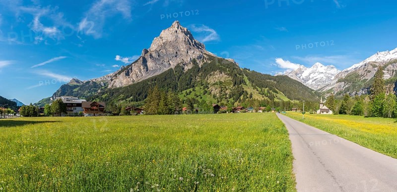 Landscape with the Bire