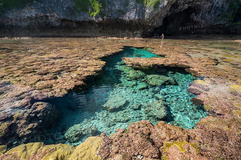 Avaiki rock tide pools