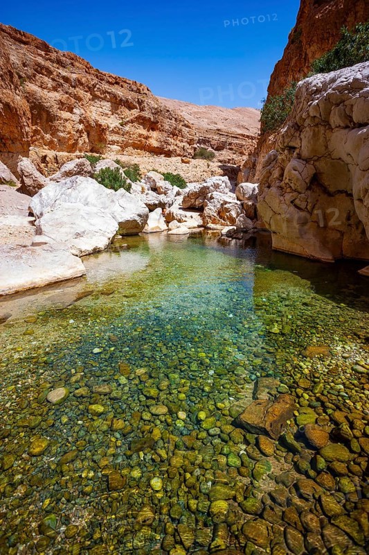Freshwater pool