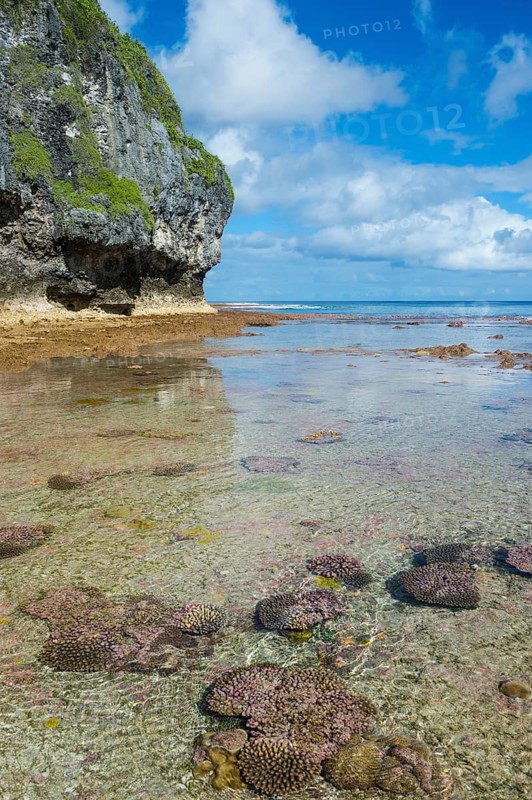 Avaiki rock tide pools