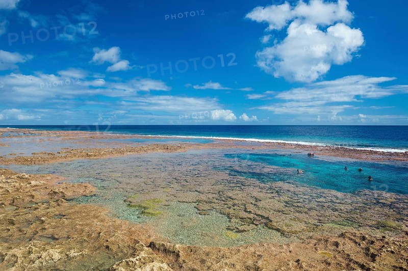 Tourists swimming in the amazing Limu low tide pools