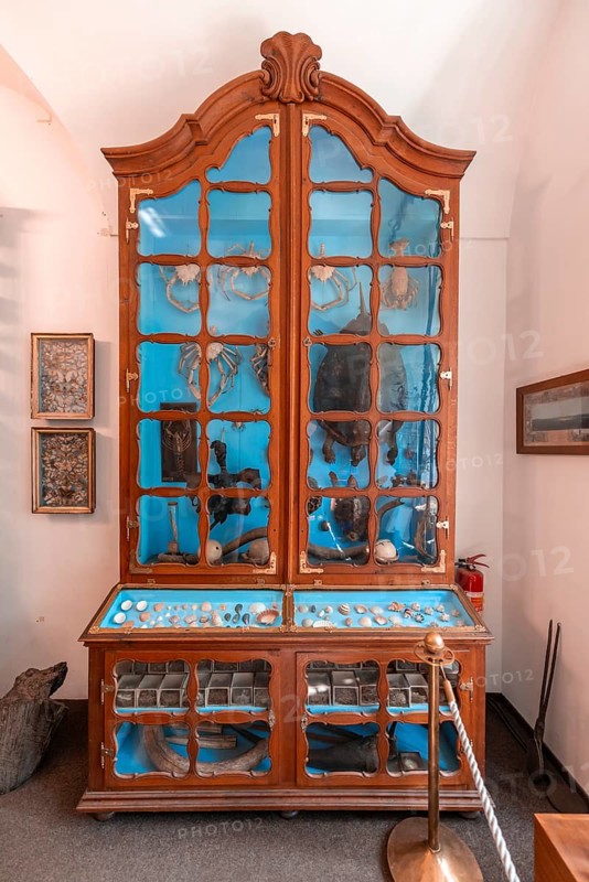 Collection of animals