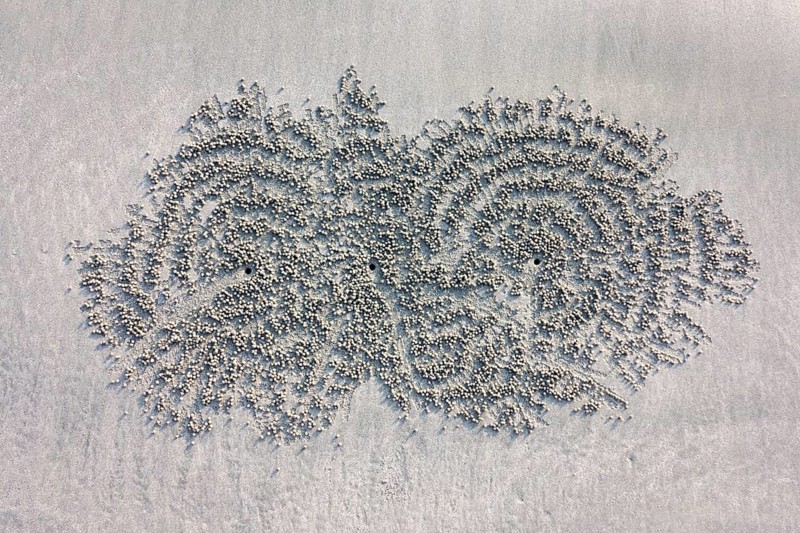Crab hole in the sand