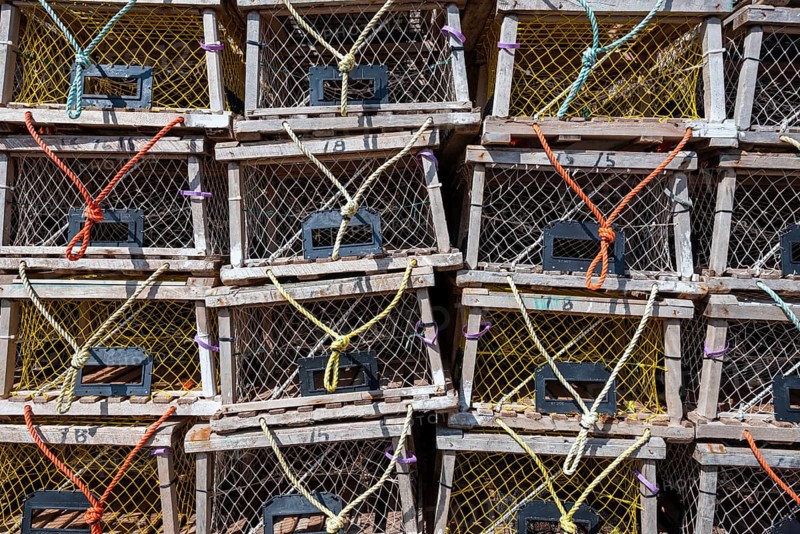 Lobster traps