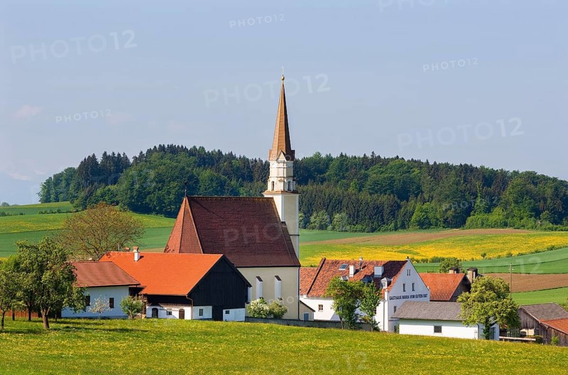 Pilgrimage church Maria vom guten Rat