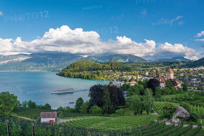Castle Spiez on Lake Thun
