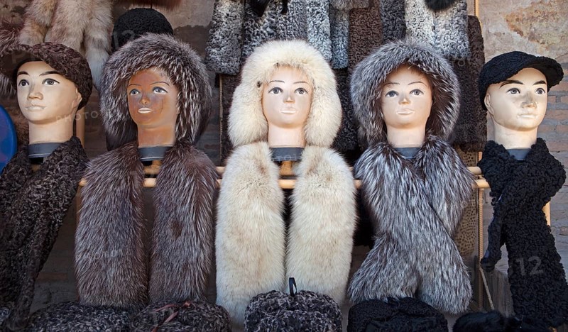 Mannequins with fur caps