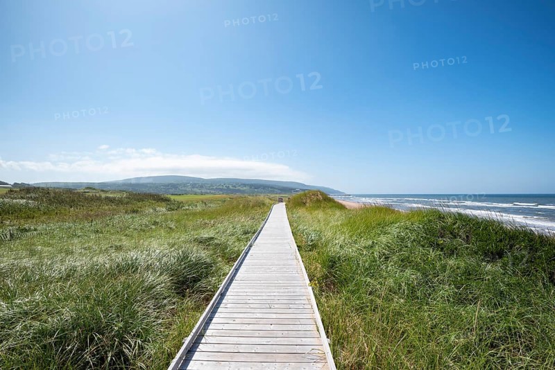 Wooden jetty through dune landscape