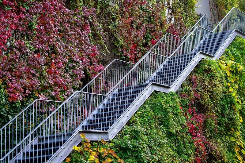 Staircase to green house facade