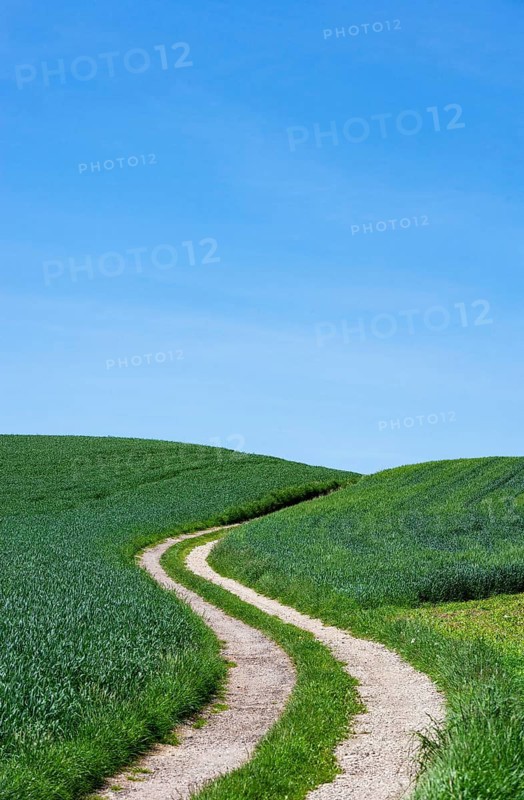 Curvy dirt road through agricultural landscape