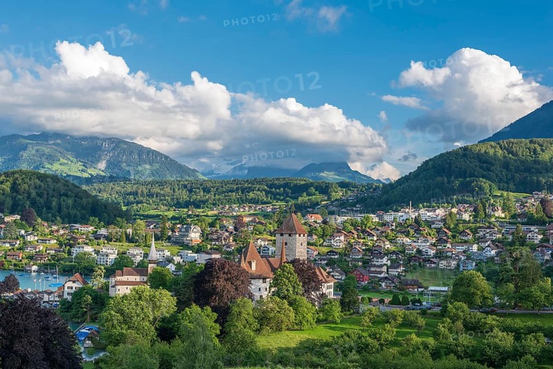 Cityscape with Castle Spiez